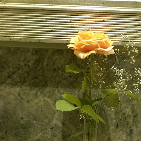 Zum Baeren Hotell Balduinstein